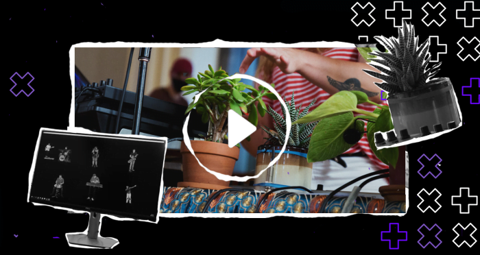 FLORA POP! La nature comme « scène » et « instrument »