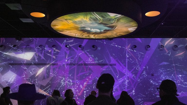 OASIS Immersion and the genesis of an international network of immersive venues